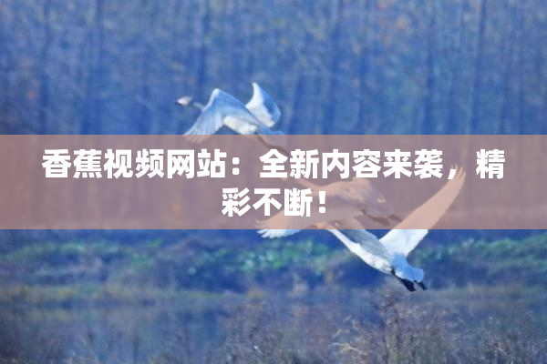 香蕉视频网站：全新内容来袭，精彩不断！