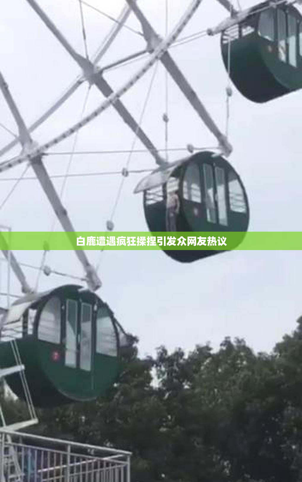 白鹿遭遇疯狂揉捏引发众网友热议