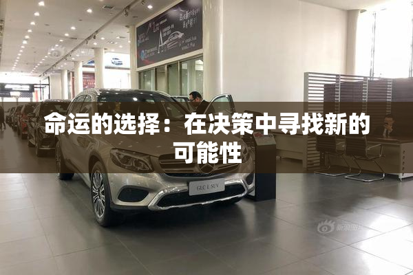 命运的选择：在决策中寻找新的可能性