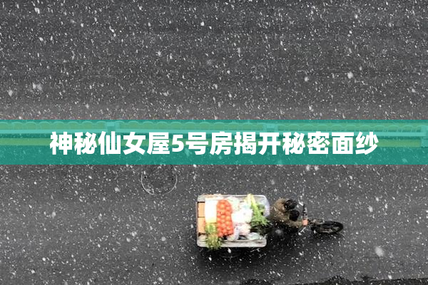 神秘仙女屋5号房揭开秘密面纱