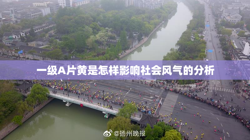 一级A片黄是怎样影响社会风气的分析