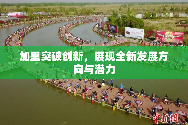 加里突破创新，展现全新发展方向与潜力