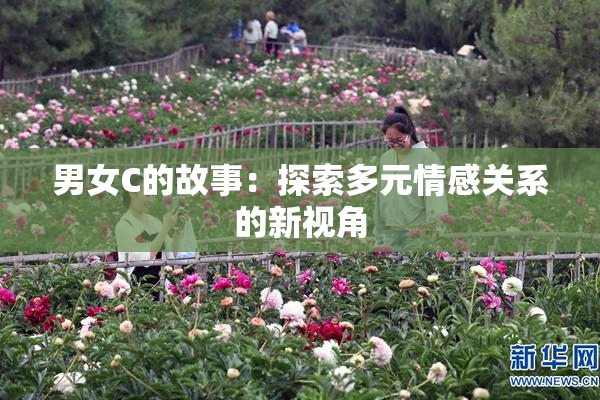 男女C的故事：探索多元情感关系的新视角