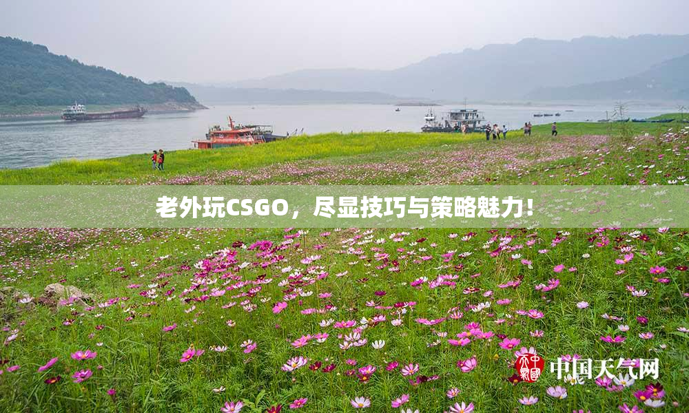 老外玩CSGO，尽显技巧与策略魅力！