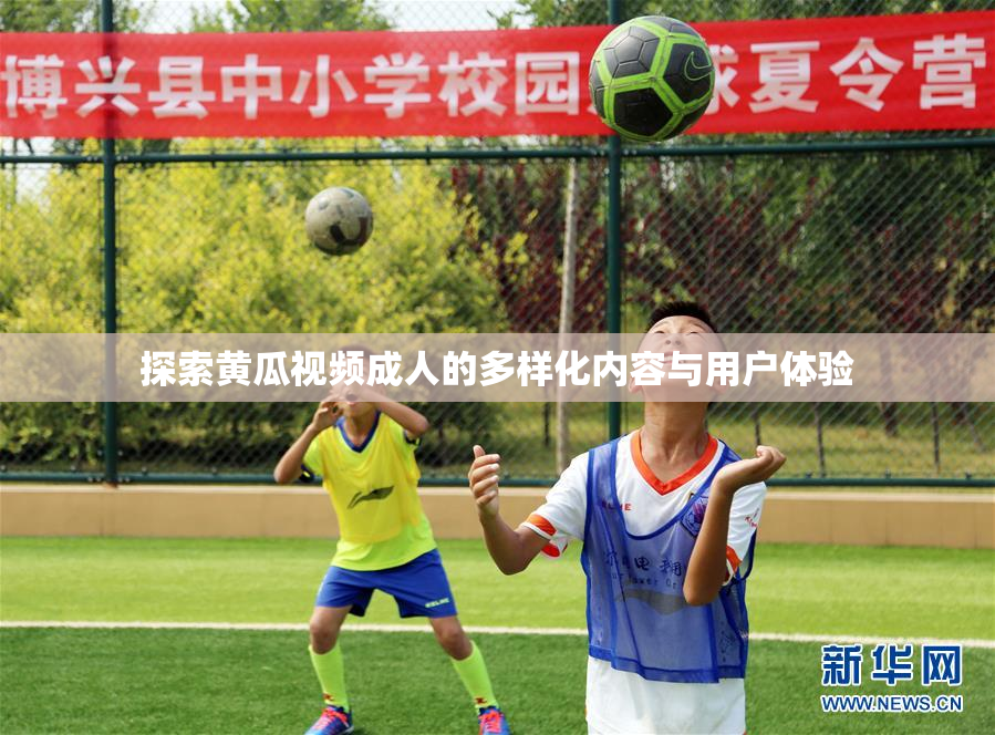 探索黄瓜视频成人的多样化内容与用户体验