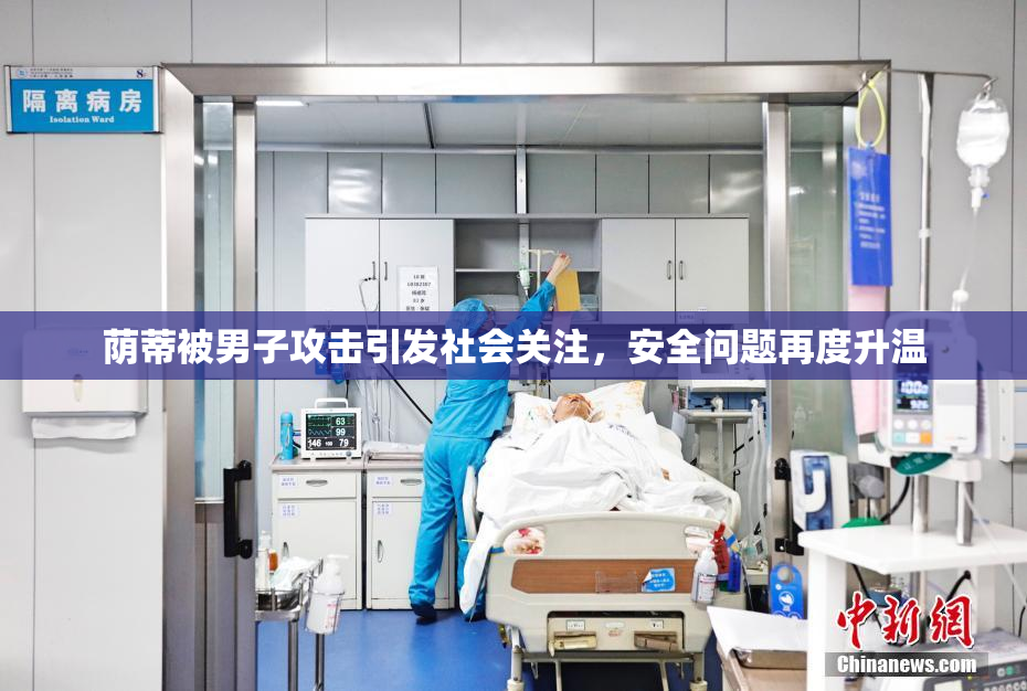 荫蒂被男子攻击引发社会关注，安全问题再度升温