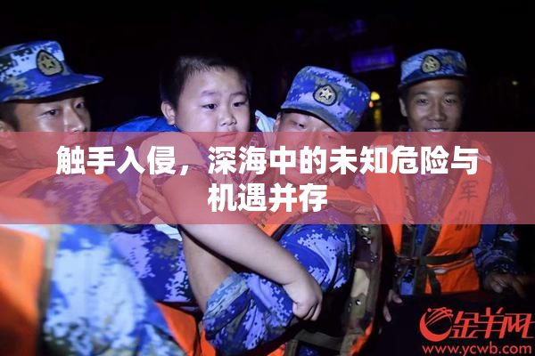 触手入侵，深海中的未知危险与机遇并存