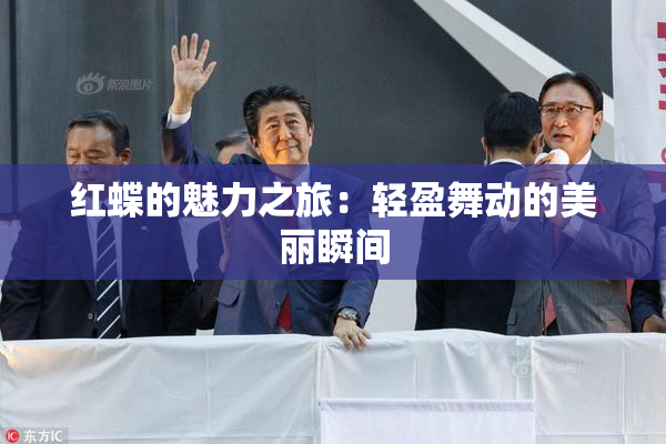 红蝶的魅力之旅：轻盈舞动的美丽瞬间