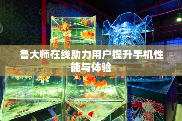 鲁大师在线助力用户提升手机性能与体验