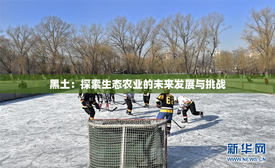 黑土：探索生态农业的未来发展与挑战