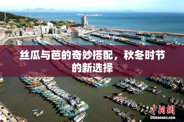 丝瓜与芭的奇妙搭配，秋冬时节的新选择