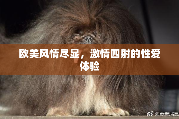 欧美风情尽显，激情四射的性爱体验