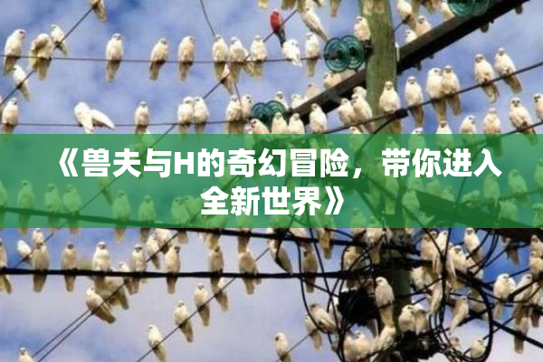 《兽夫与H的奇幻冒险，带你进入全新世界》