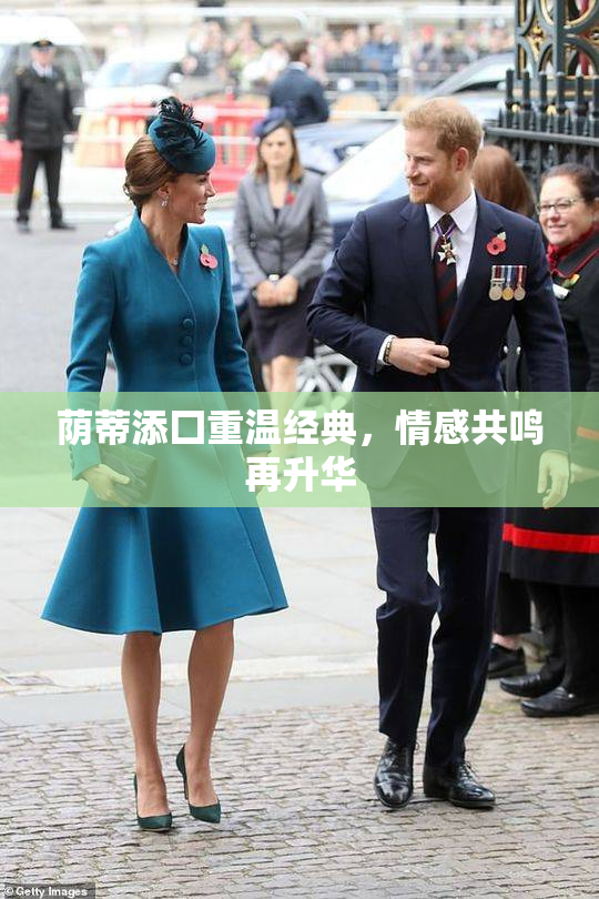 荫蒂添囗重温经典，情感共鸣再升华