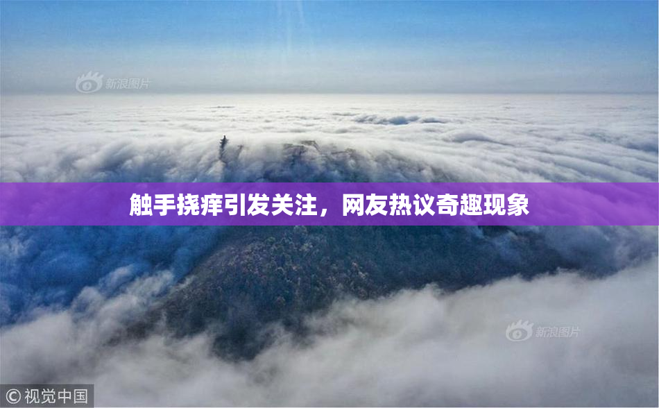 触手挠痒引发关注，网友热议奇趣现象