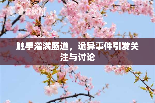 触手灌满肠道，诡异事件引发关注与讨论