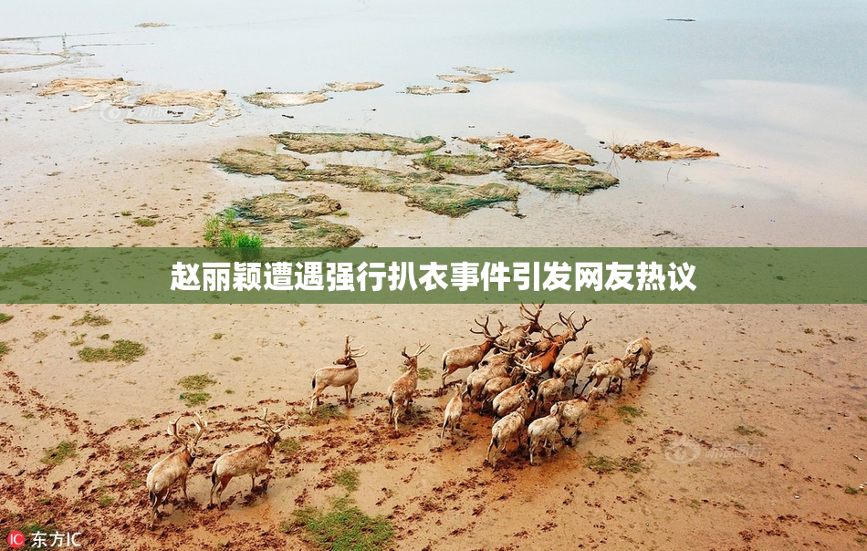 赵丽颖遭遇强行扒衣事件引发网友热议