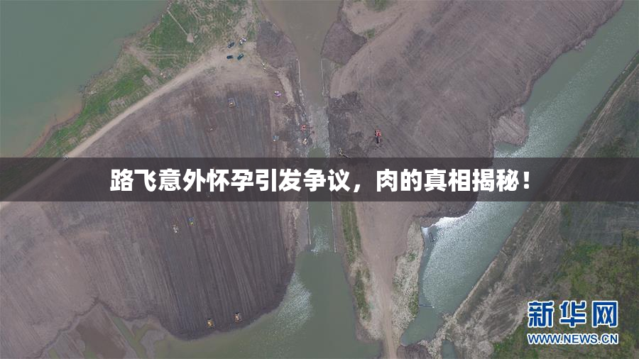 路飞意外怀孕引发争议，肉的真相揭秘！
