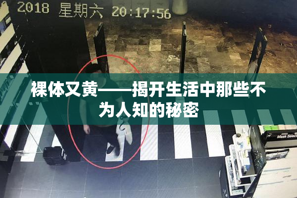 裸体又黄——揭开生活中那些不为人知的秘密
