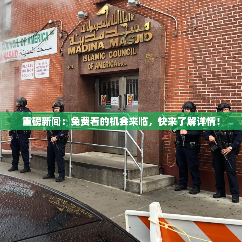 重磅新闻：免费看的机会来临，快来了解详情！
