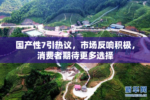 国产性7引热议，市场反响积极，消费者期待更多选择