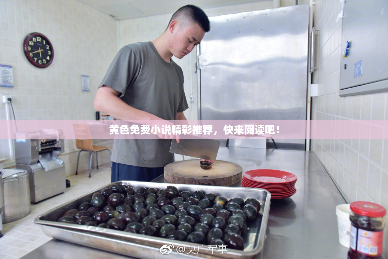 黄色免费小说精彩推荐，快来阅读吧！