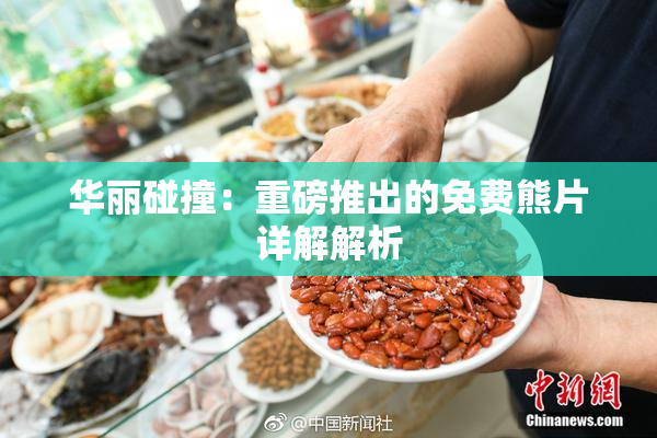 华丽碰撞：重磅推出的免费熊片详解解析