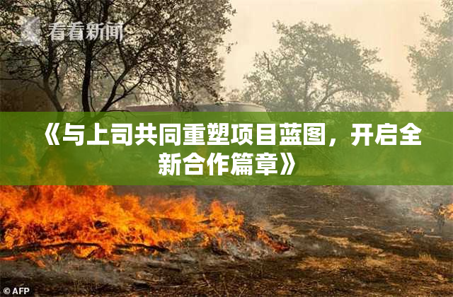 《与上司共同重塑项目蓝图，开启全新合作篇章》