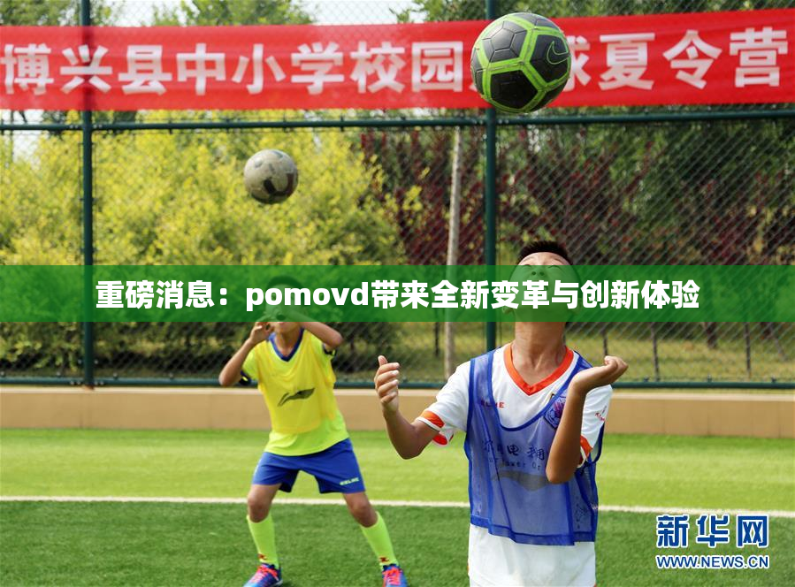 重磅消息：pomovd带来全新变革与创新体验