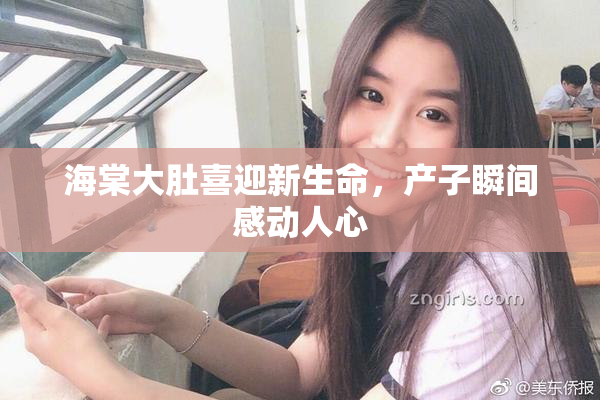 海棠大肚喜迎新生命，产子瞬间感动人心
