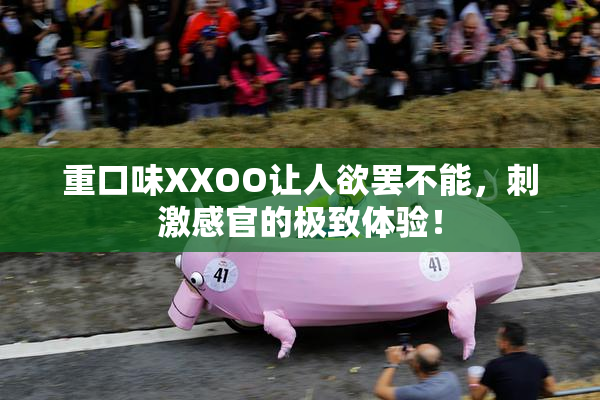 重口味XXOO让人欲罢不能，刺激感官的极致体验！