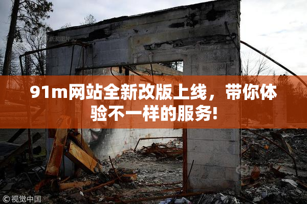 91m网站全新改版上线，带你体验不一样的服务!