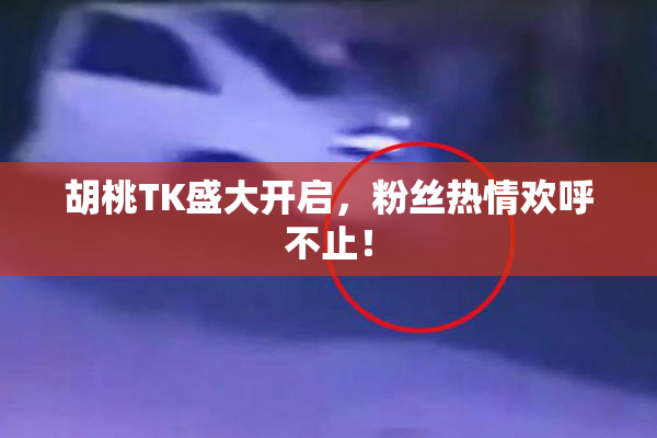 胡桃TK盛大开启，粉丝热情欢呼不止！