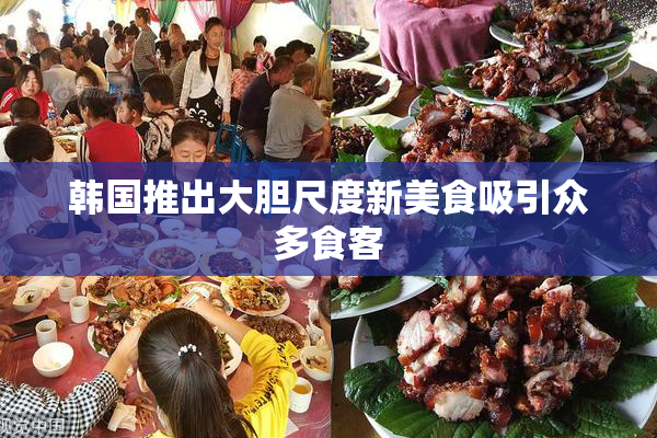 韩国推出大胆尺度新美食吸引众多食客