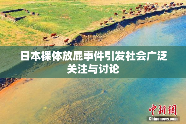 日本裸体放屁事件引发社会广泛关注与讨论