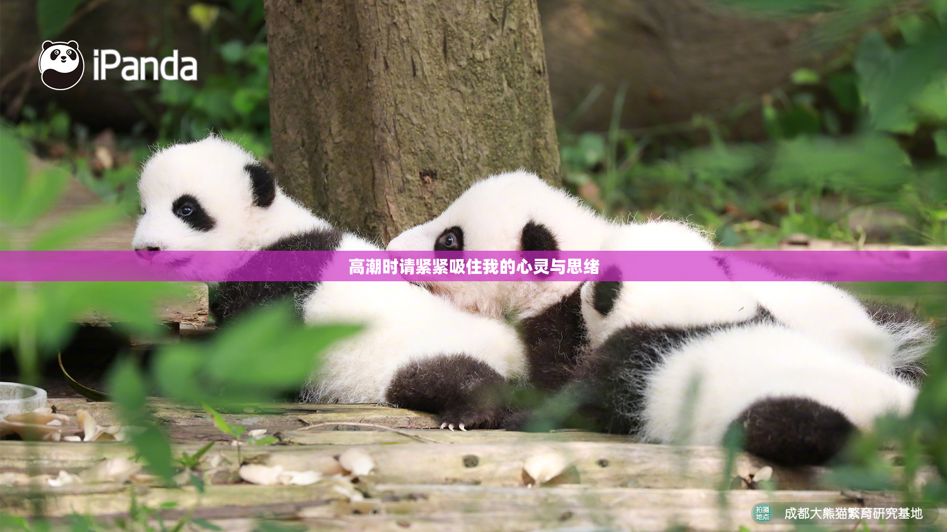 高潮时请紧紧吸住我的心灵与思绪