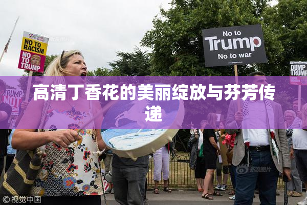 高清丁香花的美丽绽放与芬芳传递