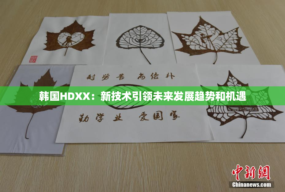 韩国HDXX：新技术引领未来发展趋势和机遇