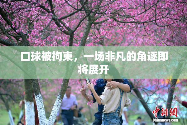 口球被拘束，一场非凡的角逐即将展开