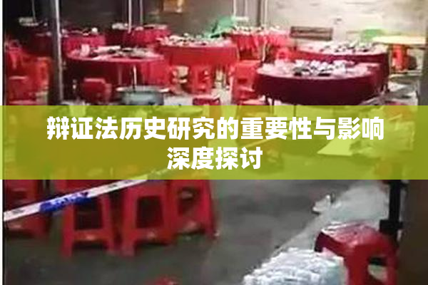 辩证法历史研究的重要性与影响深度探讨