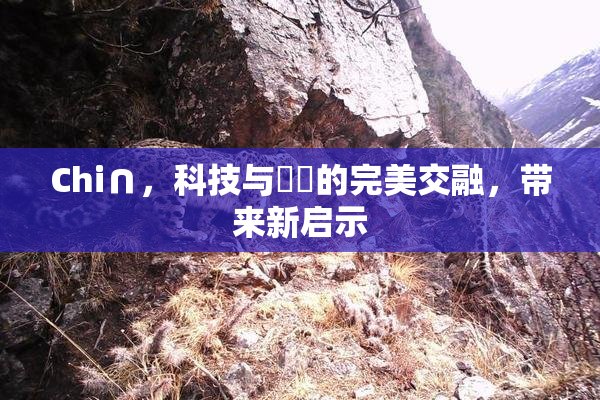 Chi∩，科技与藝術的完美交融，带来新启示