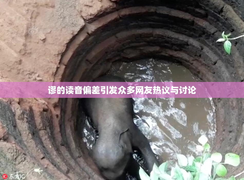 谬的读音偏差引发众多网友热议与讨论