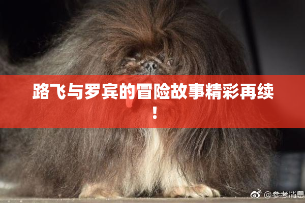 路飞与罗宾的冒险故事精彩再续！