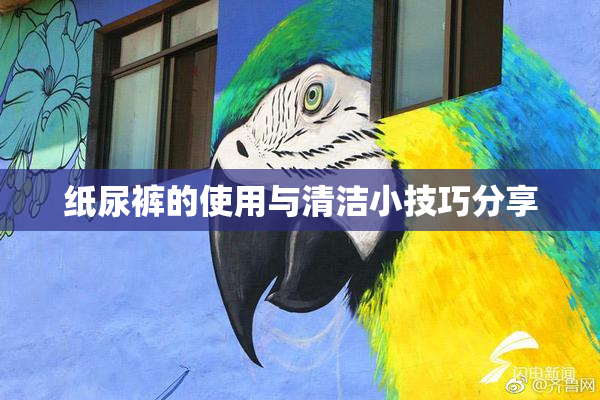 纸尿裤的使用与清洁小技巧分享