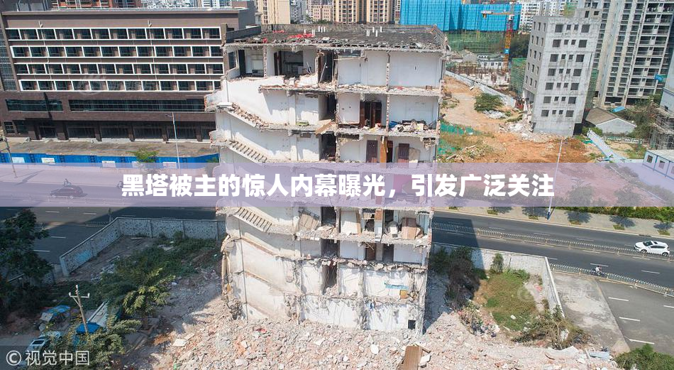 黑塔被主的惊人内幕曝光，引发广泛关注