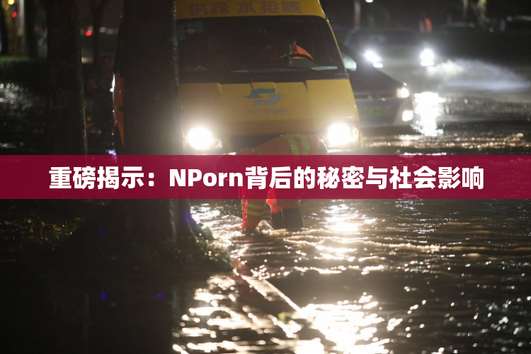 重磅揭示：ΝPorn背后的秘密与社会影响