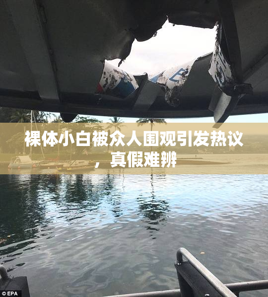 裸体小白被众人围观引发热议，真假难辨
