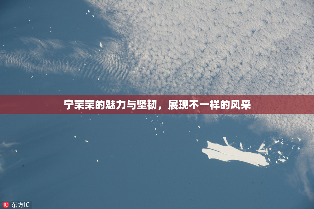 宁荣荣的魅力与坚韧，展现不一样的风采