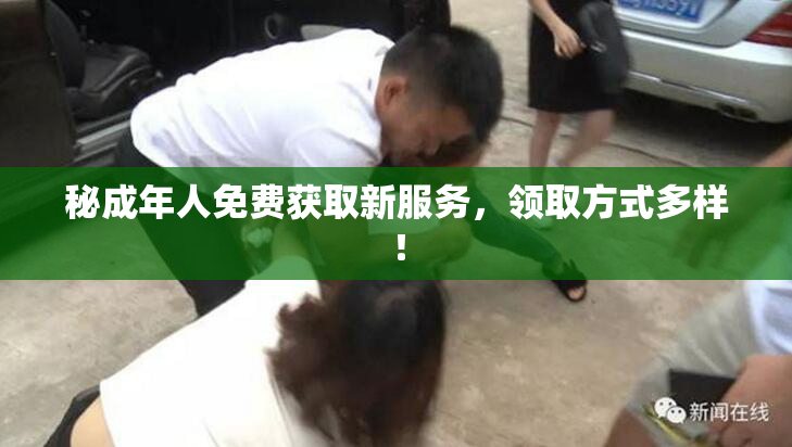 秘成年人免费获取新服务，领取方式多样！