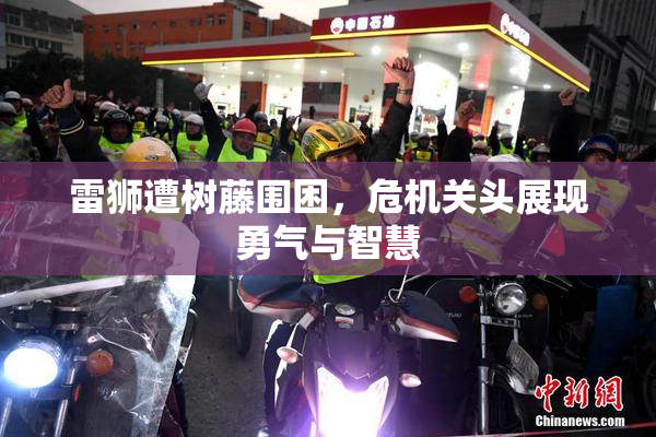 雷狮遭树藤围困，危机关头展现勇气与智慧